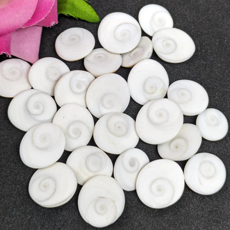Gomti Chakra - Sacred symbol known for bringing prosperity, luck, and protection in spiritual practices. #GomtiChakra #Prosperity #Luck #Protection #Vastu #SpiritualSymbol #HinduRituals #PositiveEnergy #SacredSymbols #Fortune #Blessings