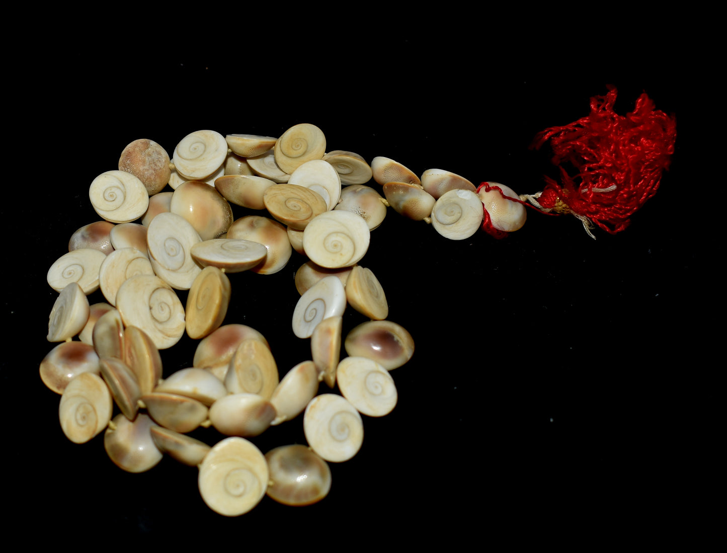 Gomti Chakra Mala - Sacred mala made from Gomti Chakra beads, used in meditation and prayer for prosperity and spiritual growth. #GomtiChakraMala #SpiritualBeads #MeditationMala #PrayerBeads #SacredMala #HinduRituals #Prosperity #SpiritualGrowth #Blessings #SacredSymbols