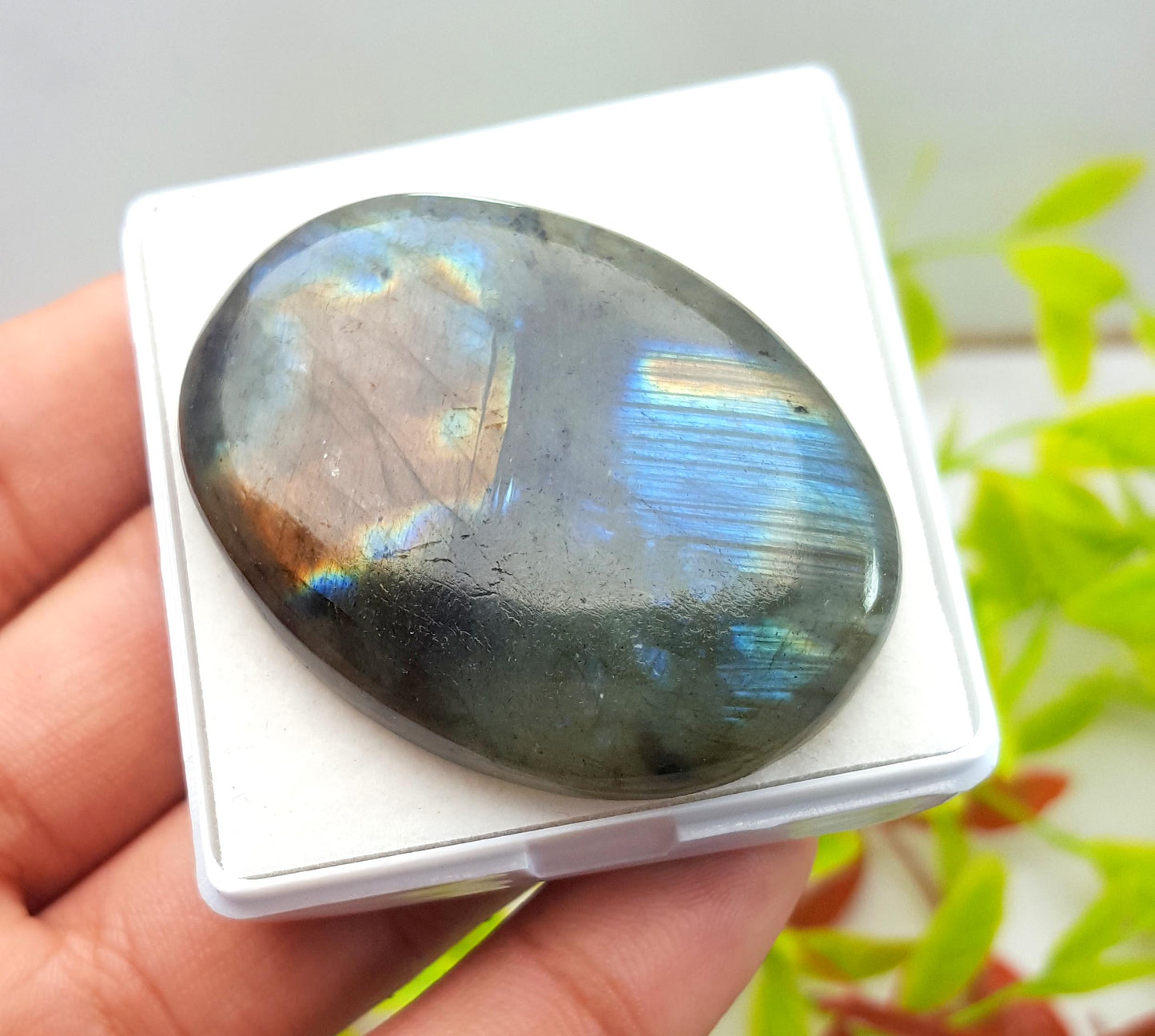 100% Natural Multi Flashy Labradorite, Oval Smooth Cabochon Loose Gemstone, 118.70 Carat, Size-48x35x8mm, Gift For Her, PC-1