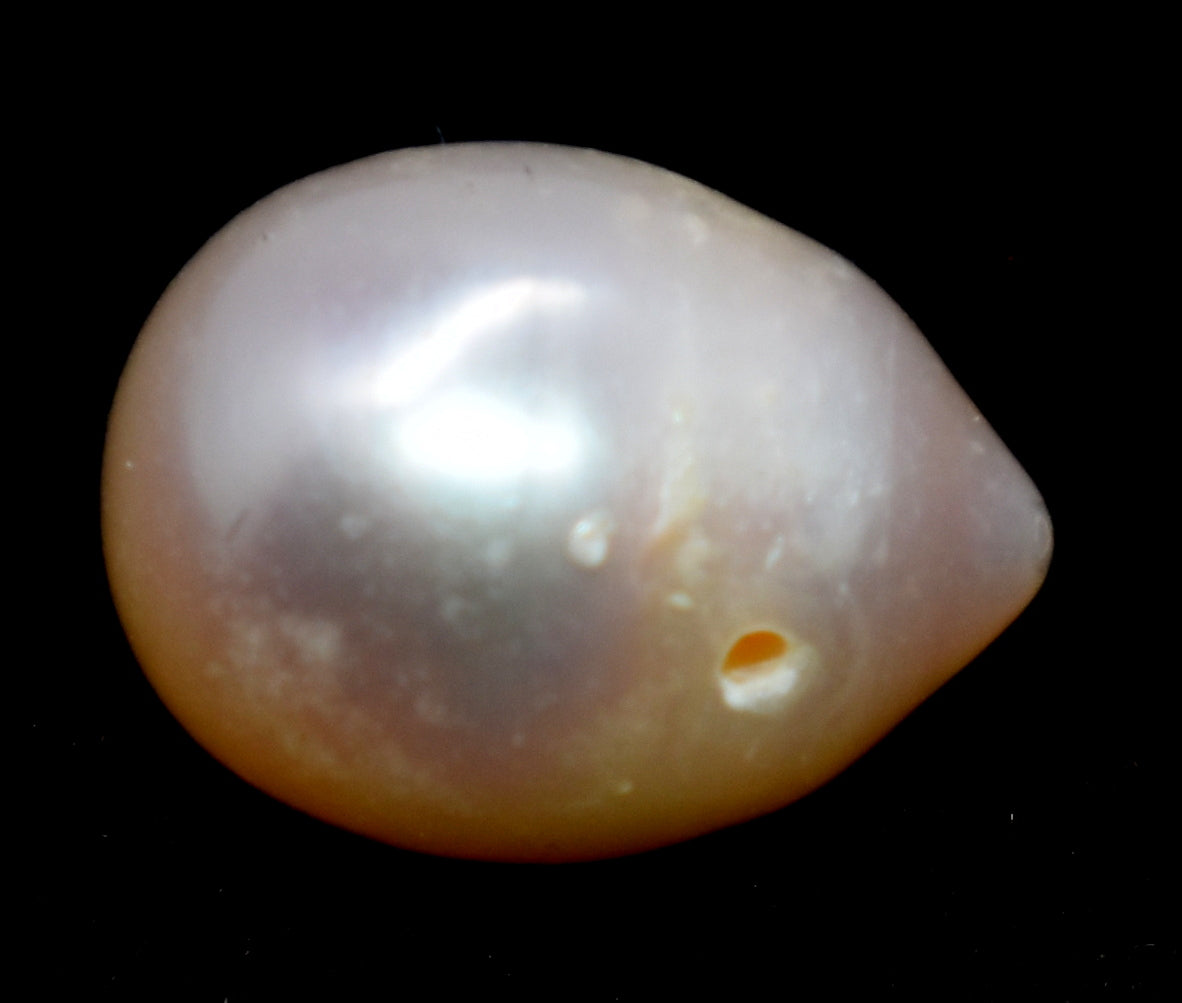 Pearl- Fresh Water Cultured Pearl - 5.95 Carat
