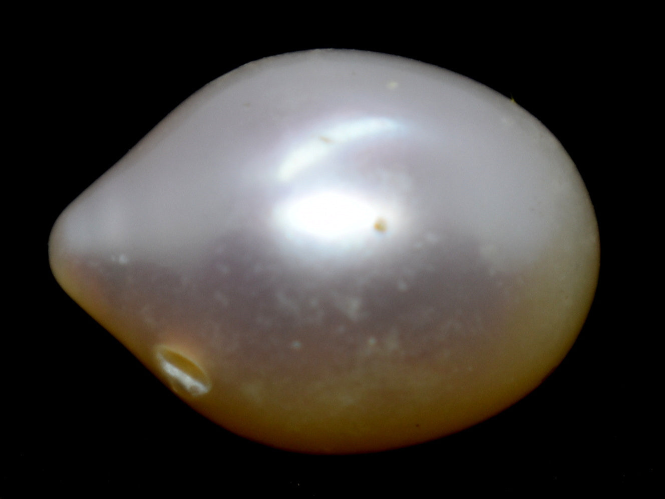 Pearl- Fresh Water Cultured Pearl - 5.95 Carat