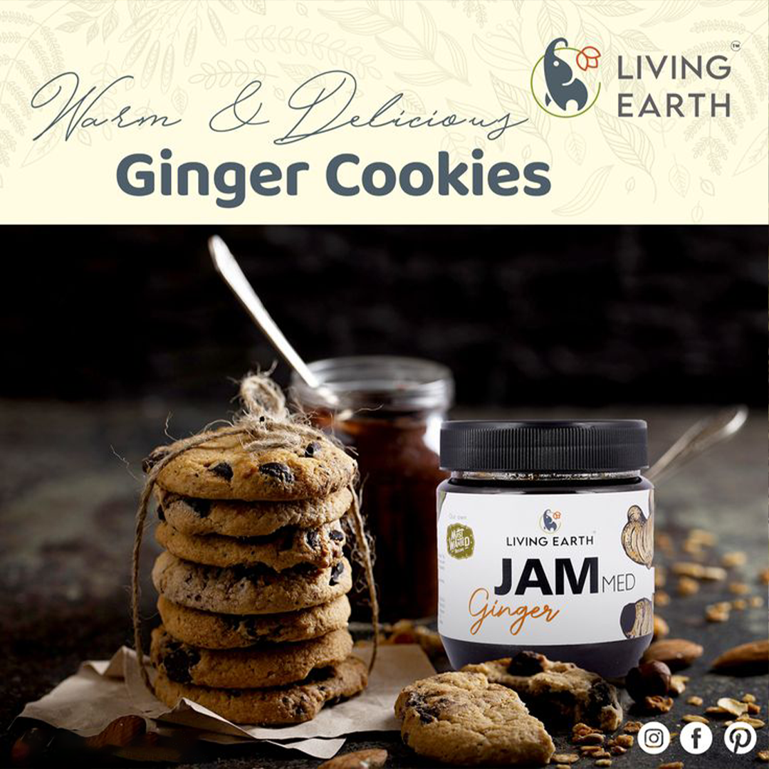 Ginger Jam | Jammed Ginger 425 Grams (Living Earth) – A Zesty, Healthy Spread with a Punch of Flavor