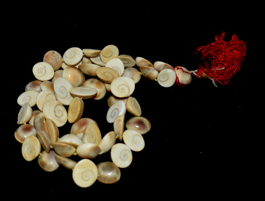 Gomti Chakra Mala - Sacred mala made from Gomti Chakra beads, used in meditation and prayer for prosperity and spiritual growth. #GomtiChakraMala #SpiritualBeads #MeditationMala #PrayerBeads #SacredMala #HinduRituals #Prosperity #SpiritualGrowth #Blessings #SacredSymbols