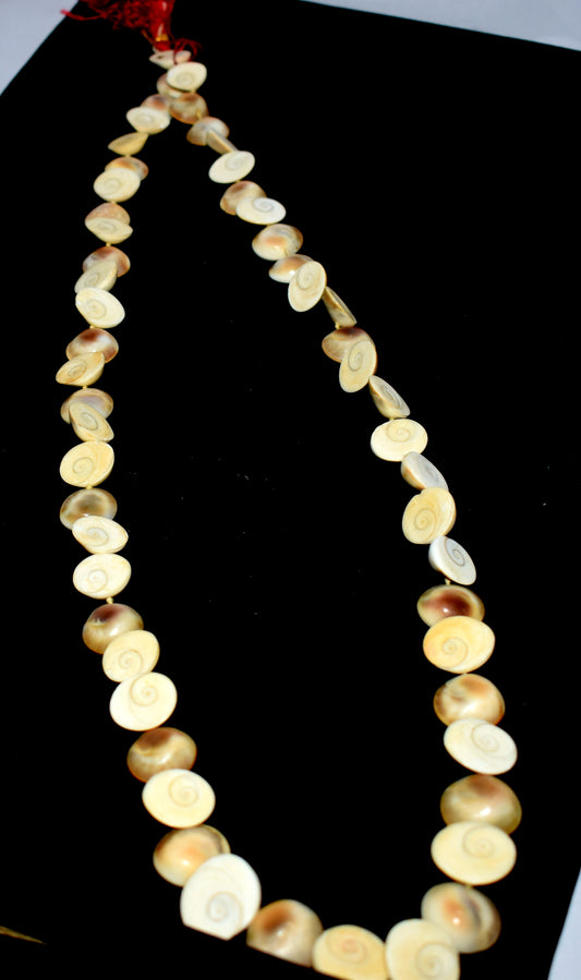 Gomti Chakra Mala - Sacred mala made from Gomti Chakra beads, used in meditation and prayer for spiritual growth and prosperity. #GomtiChakraMala #SpiritualBeads #MeditationMala #PrayerBeads #SacredMala #Prosperity #SpiritualGrowth #HinduRituals #Blessings #SacredSymbols