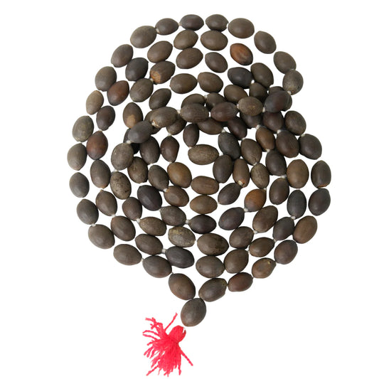 Kamal Gatta Mala - Sacred mala made from natural lotus seeds, used for prayer and meditation to enhance spiritual practice. #KamalGattaMala #PrayerBeads #SpiritualTools #MeditationBeads #LotusSeedMala #SacredMala #SpiritualPractice #Meditation #AyurvedicTools #HinduRituals