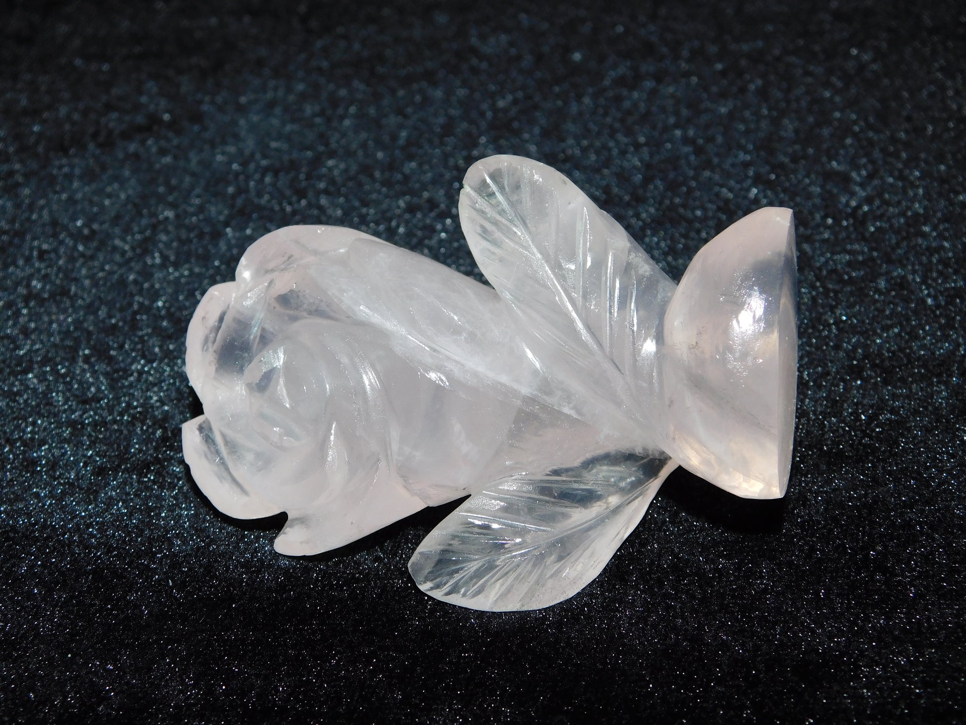 Natural Rose Quartz Curved Flower for love, healing, and emotional balance #RoseQuartz #CurvedFlower #LoveHealing #EmotionalBalance #HealingCrystals #CrystalHealing #PositiveEnergy #RoseQuartzJewelry #SelfLove #HolisticHealing #EnergyHealing #HealingStone #NaturalGemstones #SpiritualHealing