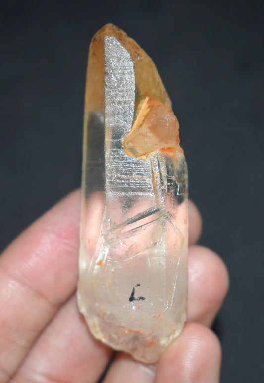 Lemurian Seed Window Crystal Point – Clear Energizing- {Weight- 34.00 Gram},